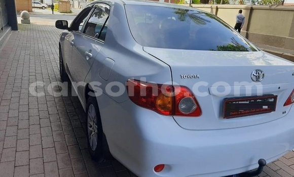 Buy Used Toyota Corolla White Car in Mohale's Hoek in Mohale's Hoek Buy Used Toyota Corolla White Car in Mohale's Hoek in Mohale's Hoek