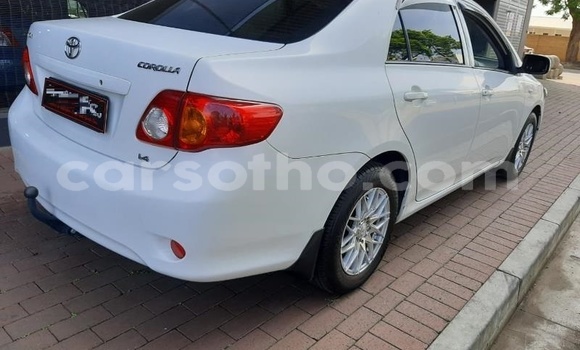 Buy Used Toyota Corolla White Car in Mohale's Hoek in Mohale's Hoek Buy Used Toyota Corolla White Car in Mohale's Hoek in Mohale's Hoek