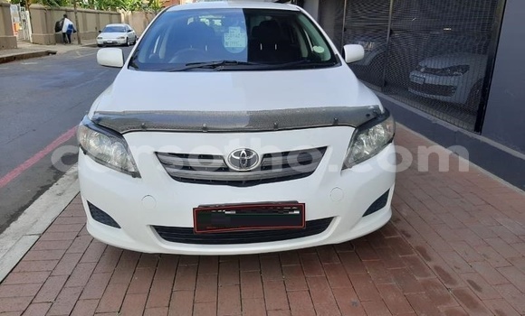 Buy Used Toyota Corolla White Car in Mohale's Hoek in Mohale's Hoek Buy Used Toyota Corolla White Car in Mohale's Hoek in Mohale's Hoek
