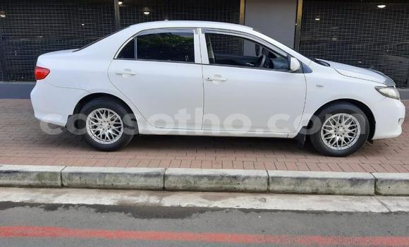 Buy Used Toyota Corolla White Car in Mohale's Hoek in Mohale's Hoek Buy Used Toyota Corolla White Car in Mohale's Hoek in Mohale's Hoek