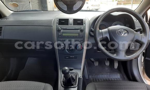 Buy Used Toyota Corolla White Car in Mohale's Hoek in Mohale's Hoek Buy Used Toyota Corolla White Car in Mohale's Hoek in Mohale's Hoek