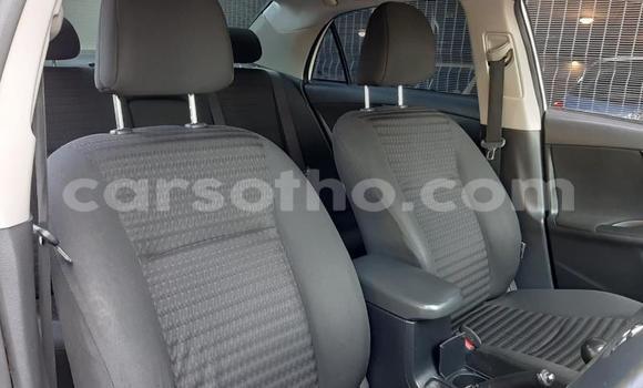 Buy Used Toyota Corolla White Car in Mohale's Hoek in Mohale's Hoek Buy Used Toyota Corolla White Car in Mohale's Hoek in Mohale's Hoek