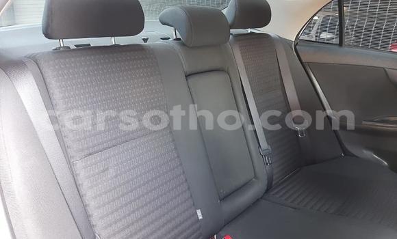 Buy Used Toyota Corolla White Car in Mohale's Hoek in Mohale's Hoek Buy Used Toyota Corolla White Car in Mohale's Hoek in Mohale's Hoek