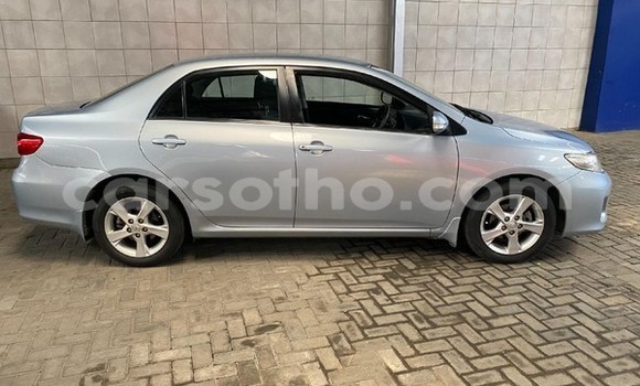 اشتري مستعمل Toyota Corolla Blue سيارة في Maseru في Maseru اشتري مستعمل Toyota Corolla Blue سيارة في Maseru في Maseru