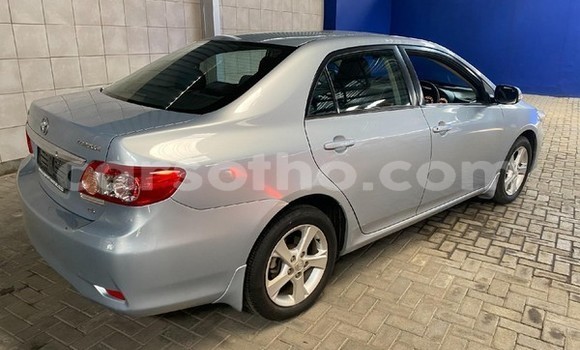 اشتري مستعمل Toyota Corolla Blue سيارة في Maseru في Maseru اشتري مستعمل Toyota Corolla Blue سيارة في Maseru في Maseru