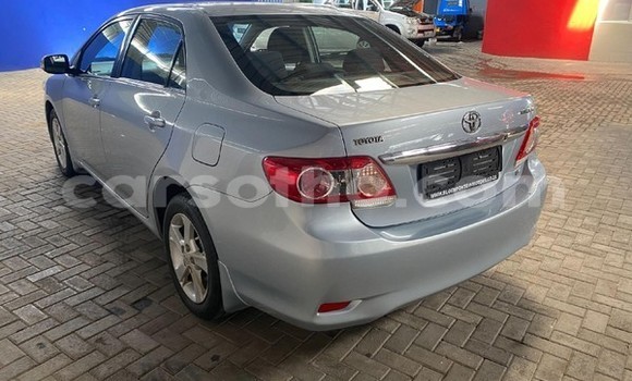 اشتري مستعمل Toyota Corolla Blue سيارة في Maseru في Maseru اشتري مستعمل Toyota Corolla Blue سيارة في Maseru في Maseru