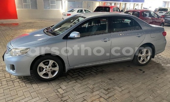 اشتري مستعمل Toyota Corolla Blue سيارة في Maseru في Maseru اشتري مستعمل Toyota Corolla Blue سيارة في Maseru في Maseru