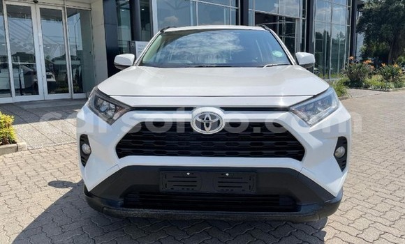 اشتري مستعمل Toyota RAV4 White سيارة في Maseru في Maseru اشتري مستعمل Toyota RAV4 White سيارة في Maseru في Maseru