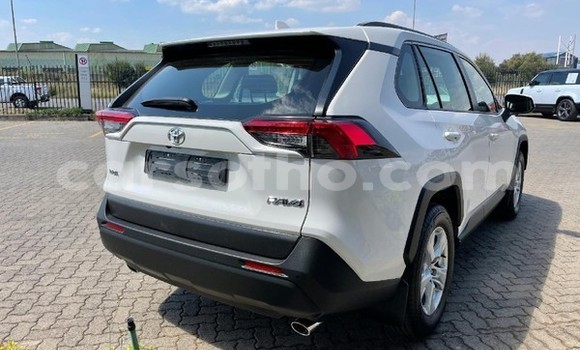 اشتري مستعمل Toyota RAV4 White سيارة في Maseru في Maseru اشتري مستعمل Toyota RAV4 White سيارة في Maseru في Maseru