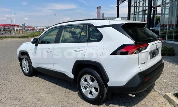 اشتري مستعمل Toyota RAV4 White سيارة في Maseru في Maseru اشتري مستعمل Toyota RAV4 White سيارة في Maseru في Maseru