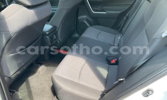 اشتري مستعمل Toyota RAV4 White سيارة في Maseru في Maseru اشتري مستعمل Toyota RAV4 White سيارة في Maseru في Maseru