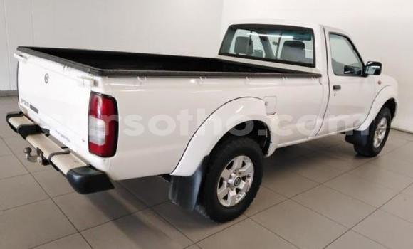 Sayi Na hannu Nissan Hardbody White Mota in Maseru a Maseru Sayi Na hannu Nissan Hardbody White Mota in Maseru a Maseru