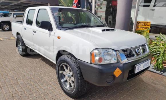 Acheter Occasion Voiture Nissan Hardbody Blanc à Maseru, Maseru Acheter Occasion Voiture Nissan Hardbody Blanc à Maseru, Maseru