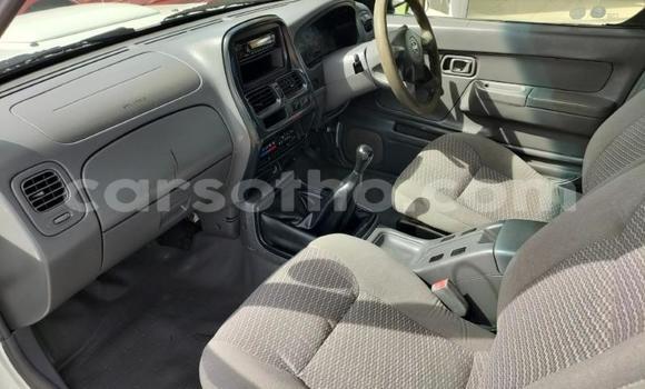 Acheter Occasion Voiture Nissan Hardbody Blanc à Maseru, Maseru Acheter Occasion Voiture Nissan Hardbody Blanc à Maseru, Maseru