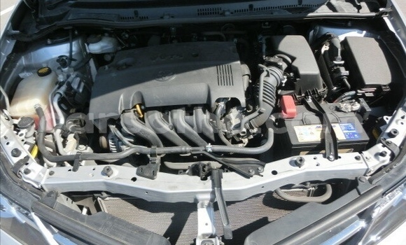 اشتري مستعمل Toyota Auris Silver سيارة في Maseru في Maseru اشتري مستعمل Toyota Auris Silver سيارة في Maseru في Maseru