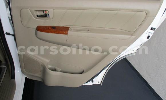 اشتري مستعمل Toyota Fortuner White سيارة في Maseru في Maseru اشتري مستعمل Toyota Fortuner White سيارة في Maseru في Maseru