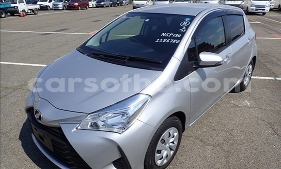 اشتري مستعمل Toyota Vitz Silver سيارة في Maseru في Maseru اشتري مستعمل Toyota Vitz Silver سيارة في Maseru في Maseru