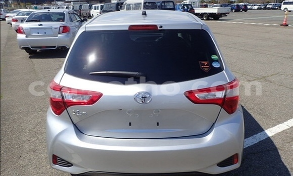 اشتري مستعمل Toyota Vitz Silver سيارة في Maseru في Maseru اشتري مستعمل Toyota Vitz Silver سيارة في Maseru في Maseru