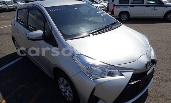 اشتري مستعمل Toyota Vitz Silver سيارة في Maseru في Maseru اشتري مستعمل Toyota Vitz Silver سيارة في Maseru في Maseru