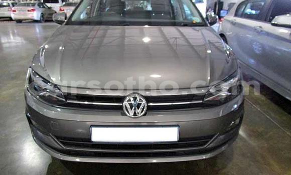 Acheter Occasion Voiture Volkswagen Polo Gris à Mafeteng, Mafeteng Acheter Occasion Voiture Volkswagen Polo Gris à Mafeteng, Mafeteng