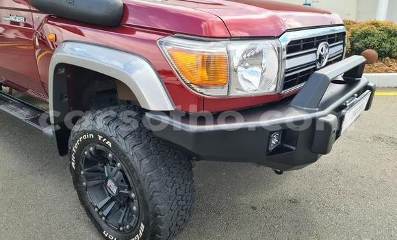 Buy Used Toyota Land Cruiser Red Car in Maseru in Maseru Buy Used Toyota Land Cruiser Red Car in Maseru in Maseru