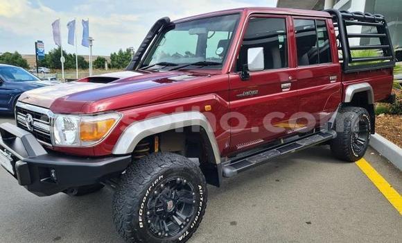 Buy Used Toyota Land Cruiser Red Car in Maseru in Maseru Buy Used Toyota Land Cruiser Red Car in Maseru in Maseru