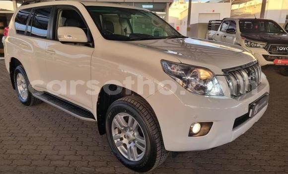 Buy Used Toyota Land Cruiser Prado White Car in Maseru in Maseru Buy Used Toyota Land Cruiser Prado White Car in Maseru in Maseru