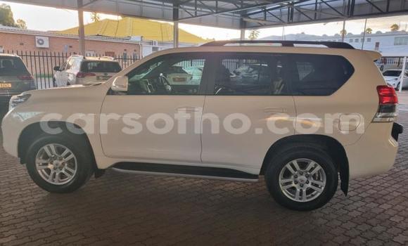 Buy Used Toyota Land Cruiser Prado White Car in Maseru in Maseru Buy Used Toyota Land Cruiser Prado White Car in Maseru in Maseru