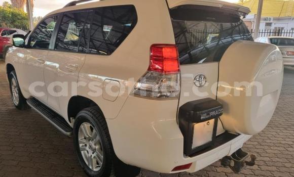 Buy Used Toyota Land Cruiser Prado White Car in Maseru in Maseru Buy Used Toyota Land Cruiser Prado White Car in Maseru in Maseru
