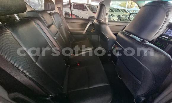 Buy Used Toyota Land Cruiser Prado White Car in Maseru in Maseru Buy Used Toyota Land Cruiser Prado White Car in Maseru in Maseru