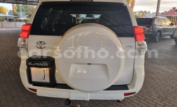 Buy Used Toyota Land Cruiser Prado White Car in Maseru in Maseru Buy Used Toyota Land Cruiser Prado White Car in Maseru in Maseru