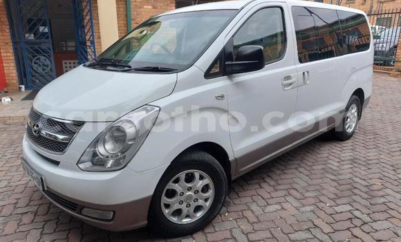 اشتري مستعمل Hyundai H1 White سيارة في Maseru في Maseru اشتري مستعمل Hyundai H1 White سيارة في Maseru في Maseru