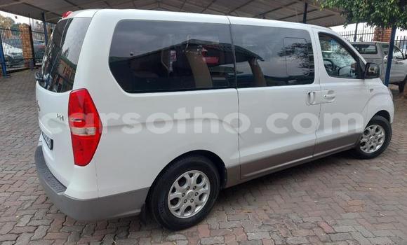 اشتري مستعمل Hyundai H1 White سيارة في Maseru في Maseru اشتري مستعمل Hyundai H1 White سيارة في Maseru في Maseru