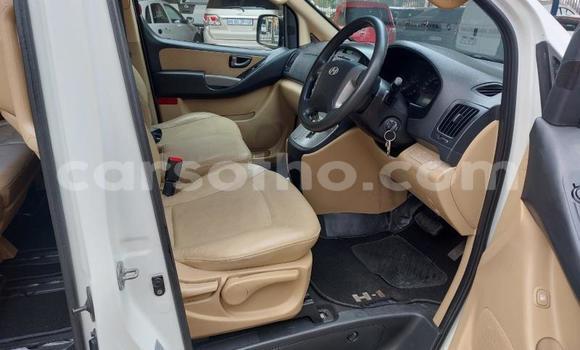 اشتري مستعمل Hyundai H1 White سيارة في Maseru في Maseru اشتري مستعمل Hyundai H1 White سيارة في Maseru في Maseru
