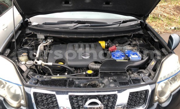 اشتري مستعمل Nissan X–Trail Other سيارة في Maseru في Maseru اشتري مستعمل Nissan X–Trail Other سيارة في Maseru في Maseru