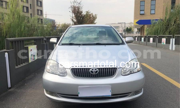 Buy Used Toyota Corolla Silver Car in Maseru in Maseru Buy Used Toyota Corolla Silver Car in Maseru in Maseru