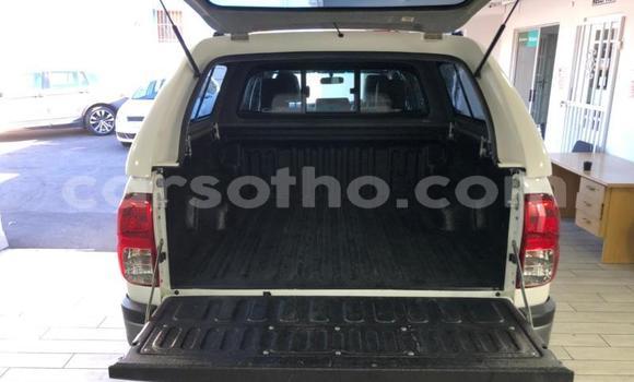 اشتري مستعمل Toyota Hilux White سيارة في Maseru في Maseru اشتري مستعمل Toyota Hilux White سيارة في Maseru في Maseru