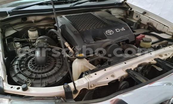 Sayi Na hannu Toyota Hilux White Mota in Maseru a Maseru Sayi Na hannu Toyota Hilux White Mota in Maseru a Maseru