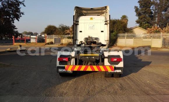 اشتري مستعمل Scania R420 White شاحنة في Maseru في Maseru اشتري مستعمل Scania R420 White شاحنة في Maseru في Maseru