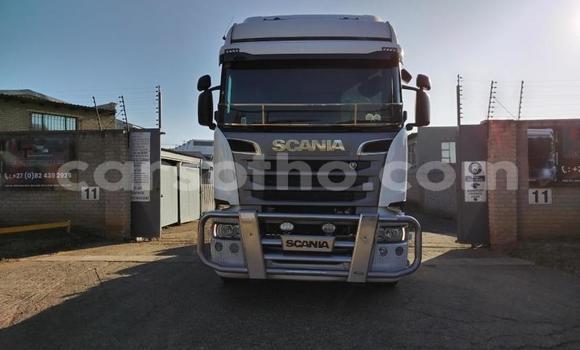 اشتري مستعمل Scania R420 White شاحنة في Maseru في Maseru اشتري مستعمل Scania R420 White شاحنة في Maseru في Maseru