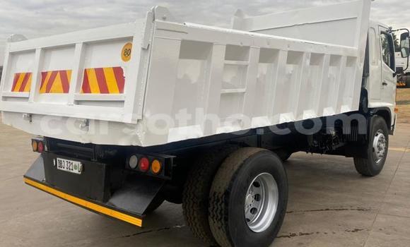 Sayi Na hannu Hino 300 Series White Babbar mota in Maseru a Maseru Sayi Na hannu Hino 300 Series White Babbar mota in Maseru a Maseru