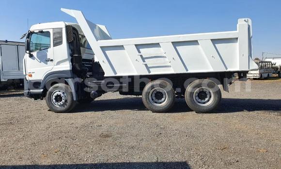 اشتري مستعمل Nissan UD White شاحنة في Maseru في Maseru اشتري مستعمل Nissan UD White شاحنة في Maseru في Maseru