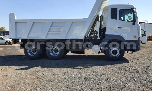 اشتري مستعمل Nissan UD White شاحنة في Maseru في Maseru اشتري مستعمل Nissan UD White شاحنة في Maseru في Maseru