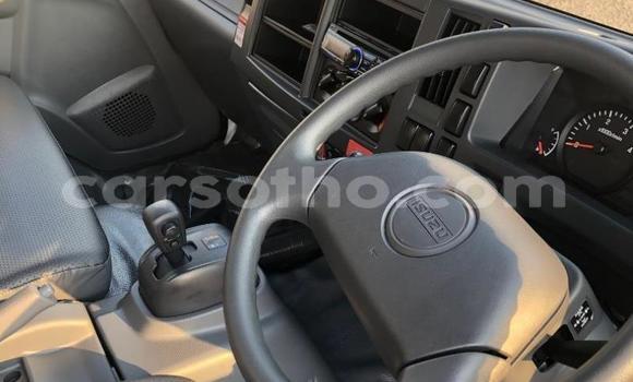 اشتري مستعمل Isuzu FTR 850 Other شاحنة في Maseru في Maseru اشتري مستعمل Isuzu FTR 850 Other شاحنة في Maseru في Maseru
