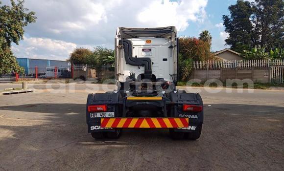 اشتري مستعمل Scania R420 Other شاحنة في Maseru في Maseru اشتري مستعمل Scania R420 Other شاحنة في Maseru في Maseru