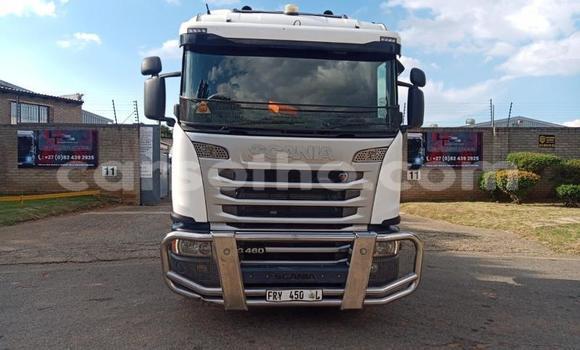 اشتري مستعمل Scania R420 Other شاحنة في Maseru في Maseru اشتري مستعمل Scania R420 Other شاحنة في Maseru في Maseru