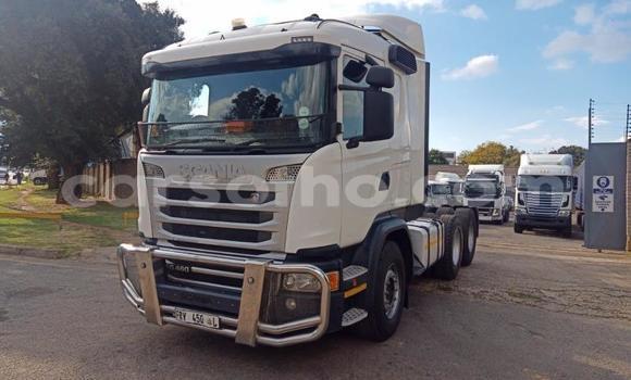 اشتري مستعمل Scania R420 Other شاحنة في Maseru في Maseru اشتري مستعمل Scania R420 Other شاحنة في Maseru في Maseru