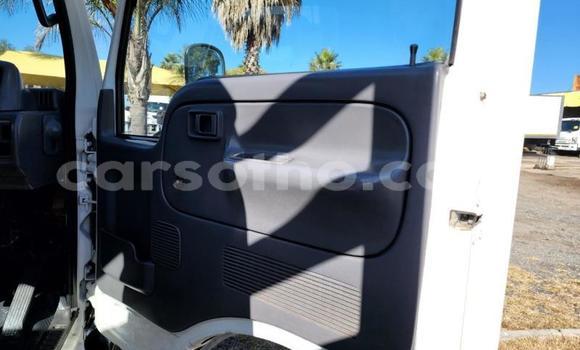 Sayi Na hannu Nissan UD White Babbar mota in Maseru a Maseru Sayi Na hannu Nissan UD White Babbar mota in Maseru a Maseru