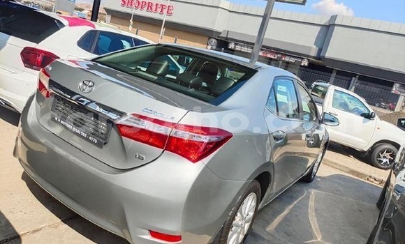 اشتري مستعمل Toyota Corolla Silver سيارة في Maseru في Maseru اشتري مستعمل Toyota Corolla Silver سيارة في Maseru في Maseru