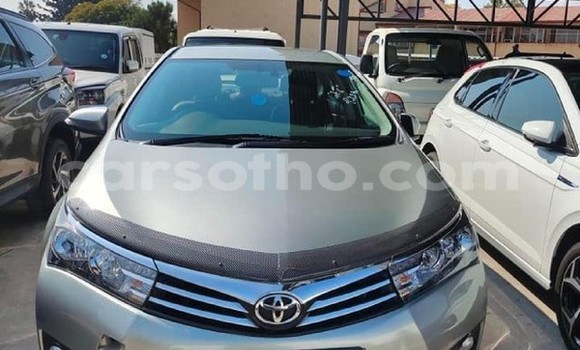 اشتري مستعمل Toyota Corolla Silver سيارة في Maseru في Maseru اشتري مستعمل Toyota Corolla Silver سيارة في Maseru في Maseru